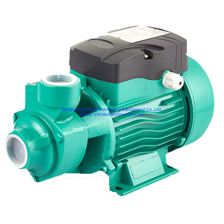 Καλύτερη τιμή 1 ίντσες 220 Volt Qb60 0.5 Hp 0.75hp 1hp Οικιακό Κήπο Ηλεκτρικός κινητήρας Βόρτεξ αντλία νερού