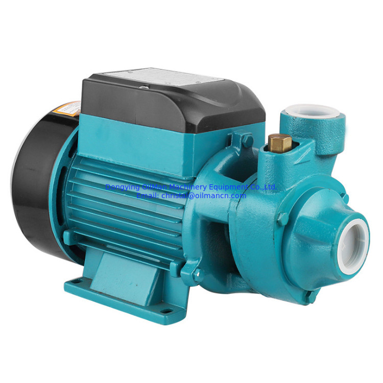 100% χαλκό καλώδιο 0,5hp υψηλής πίεσης κινητήρας QB60 ηλεκτρική αντλία νερού δίνης